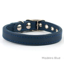 A classic style Leather Puppy Collar handmade to order for the perfect fit in calf leather shown in Madeira Blue.