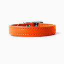 A BRIGHT ORANGE handcrafted leather puppy dog collar, made to order for the perfect fit for any puppy dog.