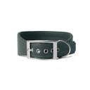 A DARK GREEN leather Whippet dog collar with silver coloured buckle, a sighthound collar cut that is wider at the front than at the back, The Whippet Dog Collar is made-to-order in England from fine Italian Calf Leather for a dog collar that is made to last. 