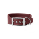 A BURGUNDY leather Whippet dog collar with silver coloured buckle, a sighthound collar cut that is wider at the front than at the back, The Whippet Dog Collar is made-to-order in England from fine Italian Calf Leather for a dog collar that is made to last. 