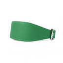 A BRIGHT GREEN leather Whippet dog collar with silver coloured buckle, a sighthound collar cut that is wider at the front than at the back, the Whippet Dog Collar is made-to-order in England from fine Italian Calf Leather for a dog collar that is made to last. 