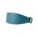A TEAL leather Whippet dog collar with silver coloured buckle, a sighthound collar cut that is wider at the front than at the back, the Whippet Dog Collar is made-to-order in England from fine Italian Calf Leather for a dog collar that is made to last. 