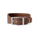 A CARAMEL BROWN leather Whippet dog collar with silver coloured buckle, a sighthound collar cut that is wider at the front than at the back, The Whippet Dog Collar is made-to-order in England from fine Italian Calf Leather for a dog collar that is made to last. 