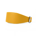 A bright yellow leather Whippet dog collar with silver coloured buckle, a sighthound collar cut that is wider at the front than at the back, The Whippet Dog Collar is made-to-order in England from fine Italian Calf Leather for a dog collar that is made to last. 