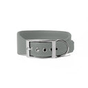A PALE GREY leather Whippet dog collar with silver coloured buckle, a sighthound collar cut that is wider at the front than at the back, The Whippet Dog Collar is made-to-order in England from fine Italian Calf Leather for a dog collar that is made to last. 