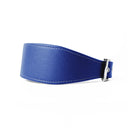 A  BRIGHT BLUE leather Whippet dog collar with silver coloured buckle, a sighthound collar cut that is wider at the front than at the back, the Whippet Dog Collar is made-to-order in England from fine Italian Calf Leather for a dog collar that is made to last. 