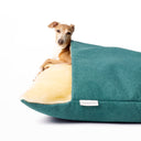 Close up of a dog peeping out from under the covers of of a jade green luxury dog snuggle bed with a cream faux-fur lining.