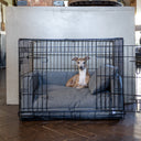 A dog sitting cosy inside a wire dog crate with a grey, luxury dog crate bed bumper and dog crate mattress and small mini-bolster pad cushion in a home setting with a dark wooden parquet floor and a grey worktop behind the dog crate.