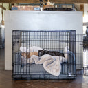Two dogs sleeping very cosy on a pale grey faux-fur dog blanket inside a dog crate with a grey, luxury dog crate bed bumper and dog crate mattress in a home setting with a dark wooden parquet floor and a grey worktop behind the dog crate.
