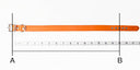 An orange leather dog collar wtth stainless steel buckle laid flat with a tape measure below and guidelines on how to measure for a dog collar. 