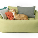 A dog lying in a dog bed, leaning against several small mini bolster pads dog bed accessories in multiple colours for comfort and support. 