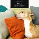 A dog leaning against and resting their head on some mini-bolster pads, small dog bed cushion accessories, with a press feature badge 'As seen in Elle Decoration' above.