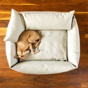 A dog curled up in a luxury bolster dog bed with two mini bolster pad cusions in the dog bed ona wooden floor.