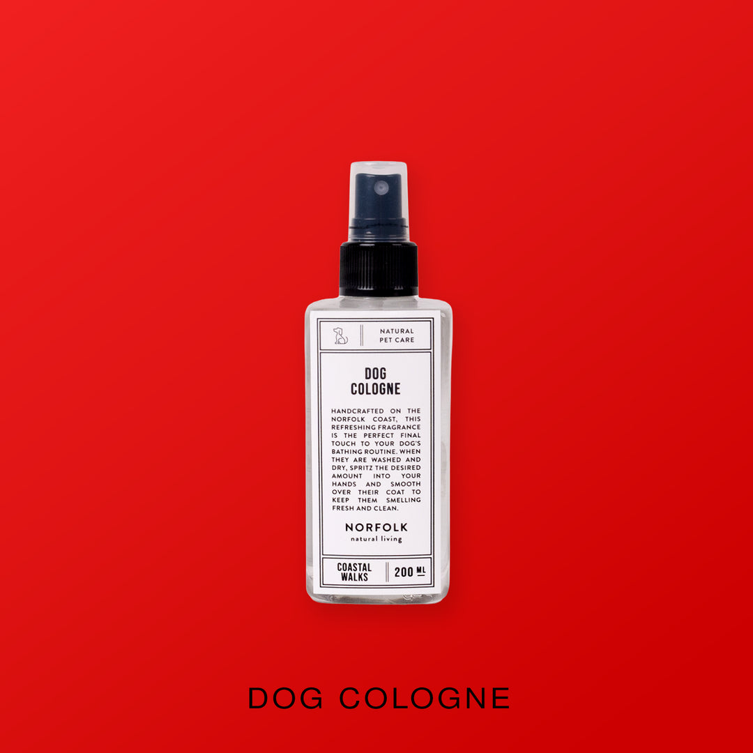 Heaven Scent Gift Bag