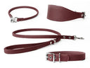 A set of burgundy leather dog collars and lead by Petiquette Dog Collars on a white background, including a classic dog collar, a sighthound collar for Itsalian Greyhounds, Whippets and Greyhounds, a house collar and leather dog lead.