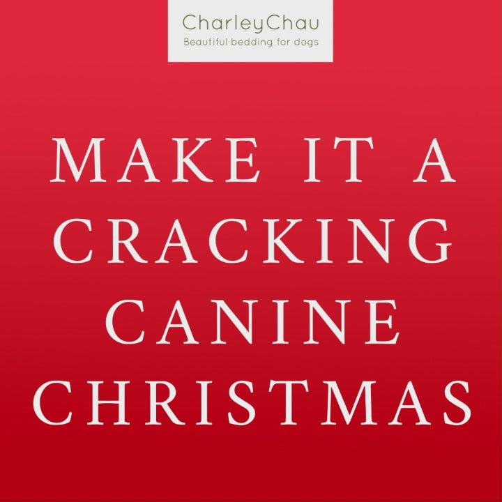 Dog Stocking Filler Christmas Gift Bag