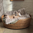 Two dogs curled up asleep  in a cosy Rattan dog Baskt with a faux-fur dog blanket in a home setting with whitewashed stone walls and a stone floor.