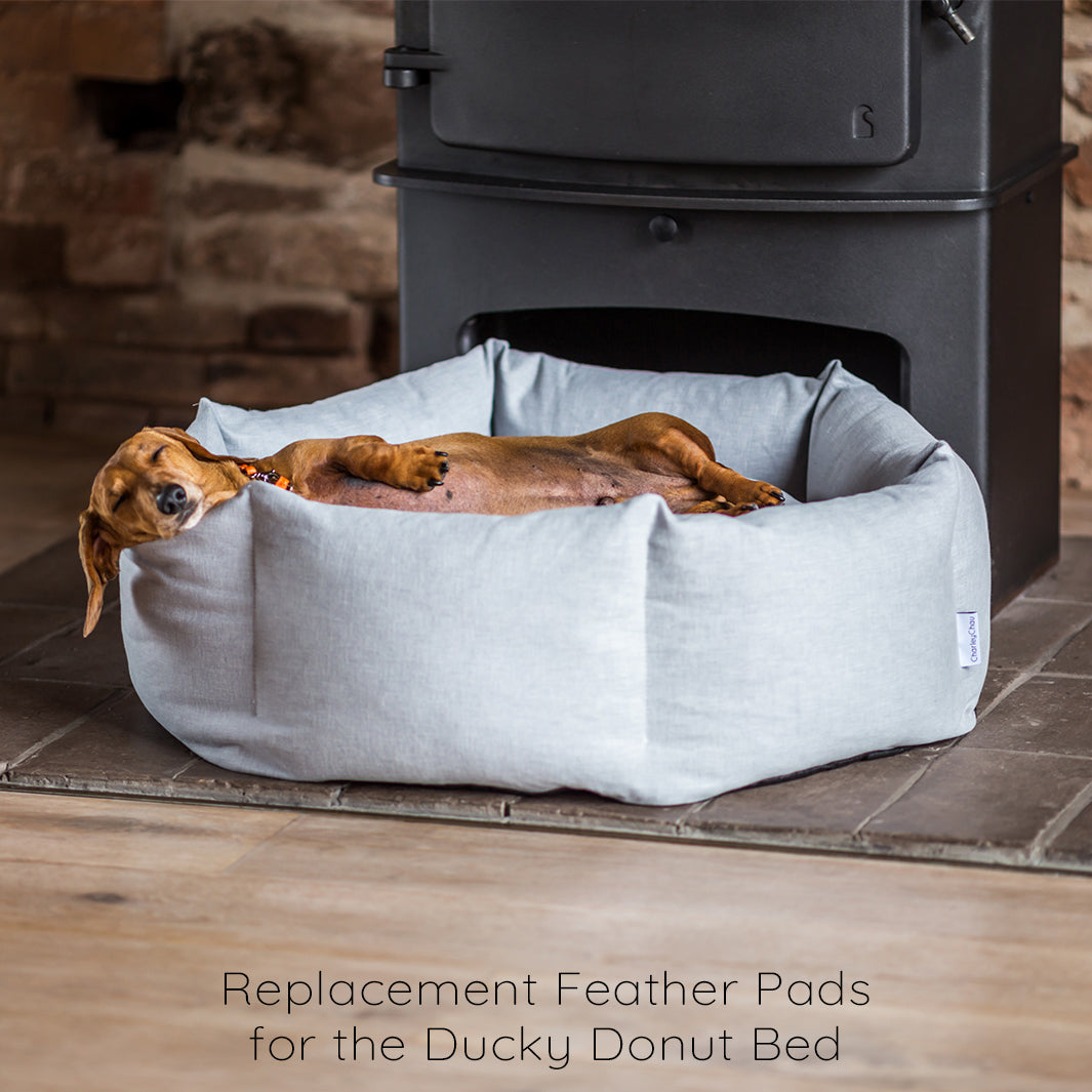 Ethically sourced Feather Pads for Charley ChauDucky Donut Beds