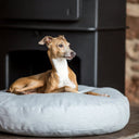 Round Dog Bed Mattress in Cosmo - Charley Chau - luxury dog bedding