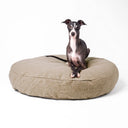 A black dog lying on a beige colour round luxury dog bed mattress on a white backdrop. 
