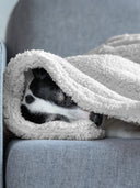 Dog sleeping ith the top of their head peeking out from under a fluffy, light-grey sherpa fleece blanket on a blue-grey couch