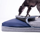 Close up shot of a black Italian Greyhound dog standing on a luxury orthopaedic memeory foam dog bed mattress with the grey outer bed cover partailly unzipped and folded back to show a dark blue anti-microbial waterproof mattress protector.