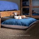 Spare Cover in Velour for Day Bed / Deeply Dishy Mattresses / Travel Pad - Charley Chau - luxury dog bedding