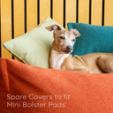 Spare Covers for Mini Bolster Pads - Charley Chau - luxury dog bedding