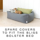 A dog sleeping very cosy in a high-sided, grey box style bolster dog bed with a pale green cushion in the dog bed in a home setting with a white panelled wall and wooden floor with 'SPARE COVERS TO FIT THE BLISS BOLSTER BED' on a white backgorund below. 
