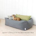 A dog sleeping very cosy in a high-sided, grey box style bolster dog bed with a pale green cushion in the dog bed in a home setting with a white panelled wall and wooden floor and text "Spare Covers to fit the Bliss Bolster Bed"