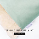 A close up detail of the corner of a Charley Chau Dog Snuggle Bed and dog Burrow Bag Dog Bed Cover with pale mint green outer cover in upholstery-quality Velour and plush cream faux-fur lining with a woven brand label showing the Charley Chau logo on a white backdrop.