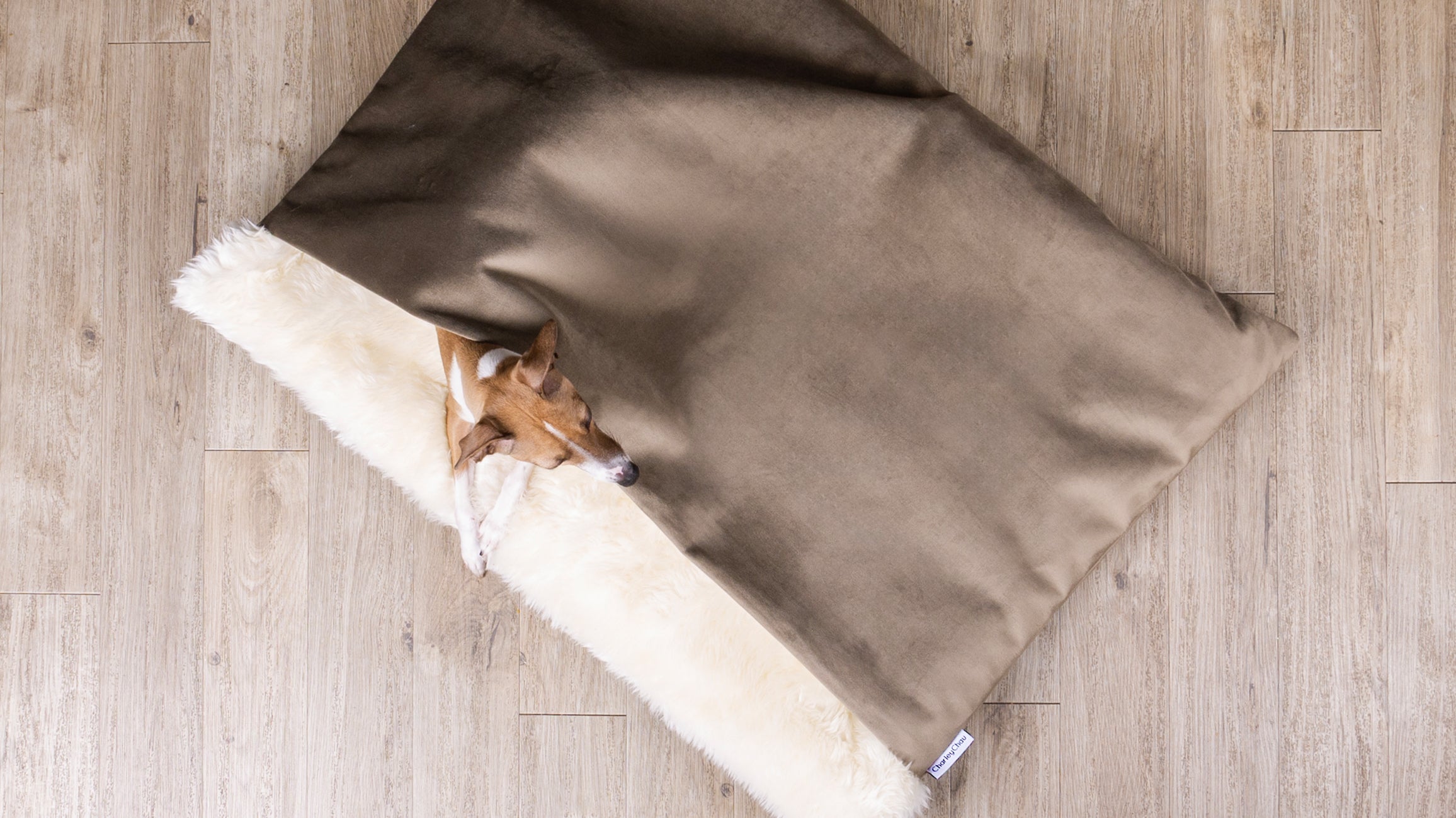 Luxury dog bed made with a brown velvet and cream faux-fur fleece lining with an Italian Greyhound Dog peeping out on a wooden oak floor.