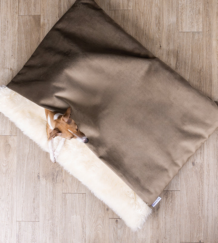 Luxury dog bed made with a brown velvet and cream faux-fur fleece lining with an Italian Greyhound Dog peeping out on a wooden oak floor.