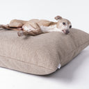 Dog lying on a beige luxury dog bed mattress against a white background