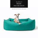 Dog lying on a jade green, luxury high sided box dog bed - The Bliss Bolster Dog Bed by designers Charley Chau - on a white backdrop with a "As seen in Elle Decoration" press featue badge.