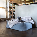 Two dogs lying in a luxirious grey high-sided bolster dog bed with a soft, plush faux-fur dog blanket in a home setting with dark wooden floor.