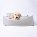 A cute labradoodle dog resting its chin on the high sides of a pale grey bolster dog bed by designers Charley Chau on a white backdrop. 