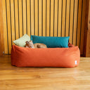 A dog lying in an orange luxury bolster dog bed with  high sides in a modern home setting with wood panelled wall and wooden floor.