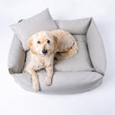 A Labradoodle dog lying in a pale grey luxury bolster dog bed on a white backdrop.