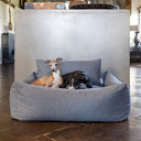 Two dogs lying in a luxirious grey high-sided bolster dog bed in a modern home setting with dark wooden floor.