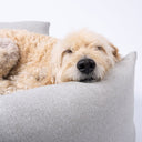 Close-up shot of a cute labradoodle dog sleeping and resting its chin on the high sides of a pale grey bolster dog bed by designers Charley Chau on a white backdrop. 