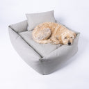 A labradoodle dog resting its chin on the high sides of a pale grey box bed by designers Charley Chau on a white backdrop. 