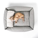 A dog sleeping with a grey sherpa fleece dog blanket as pillow in a luxury bolster dog bed made with ahard-wearing uphostery fabric on a white backdrop.