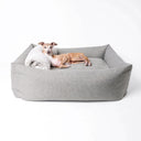 A dog lying in a luxury dog bolster bed in a grey woven upholstery fabric witha grey sherpa fleece dog blanket rolled up as pillow on a white backdrop