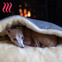 Close up shot of an Italian Greyhound dog peeking out from under the cover of a luxury dog Snuggle Bed with a dark frey outer cover and cream faux-fur fleece lining, in home setting with a blurred fire in the background.