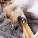 Yak Chew For Dogs - Charley Chau - luxury dog bedding