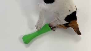 Natural Rubber Treat Bone by Beco Pets at Charley Chau