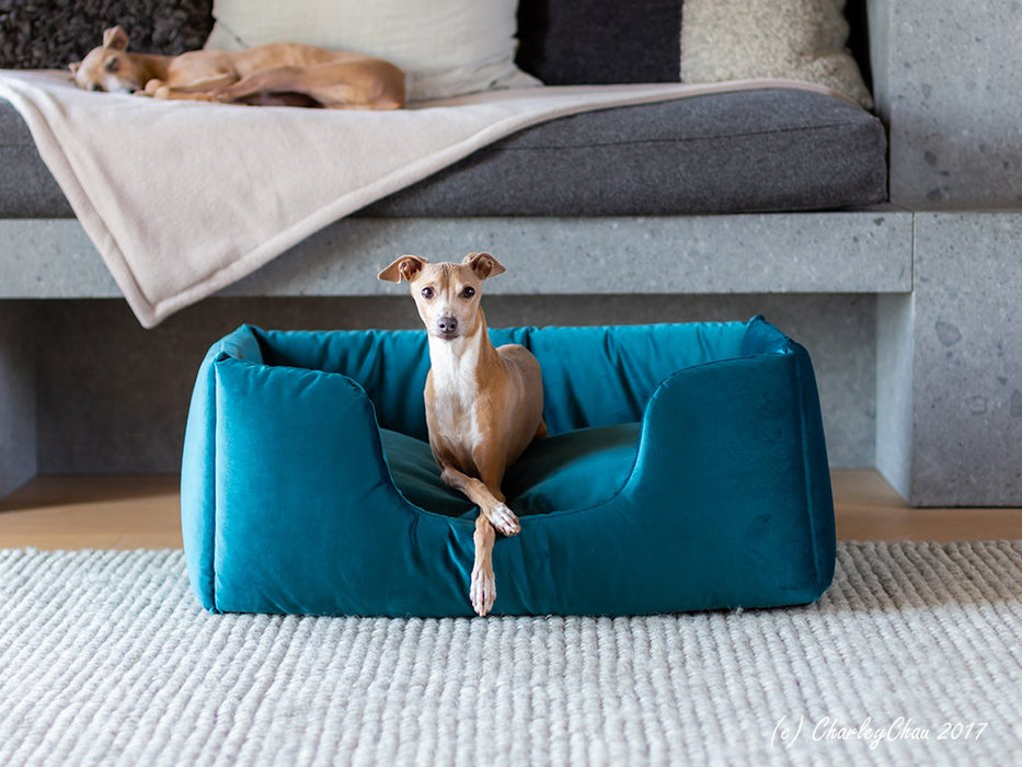 Charley Chau Deeply Dishy Luxury Dog Bed - Velour Teal