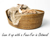 Charley Chau Luxury Rattan Dog Basket 