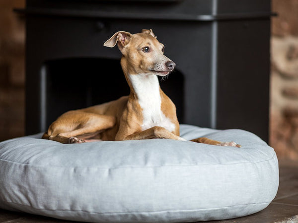 Round Dog Bed Mattress